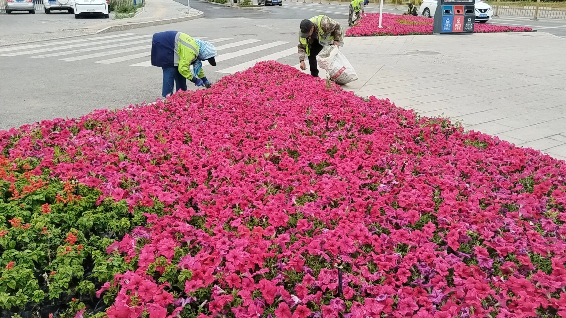 吉木薩爾縣 裸露土地披“綠衣” 打造城市最靚底色