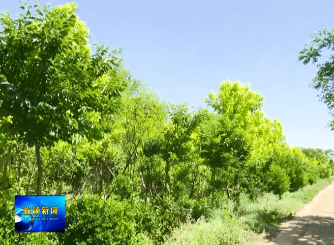 臨潁這個(gè)村 花卉隨處可見(jiàn)，樹(shù)木蔥綠，路面一塵不染